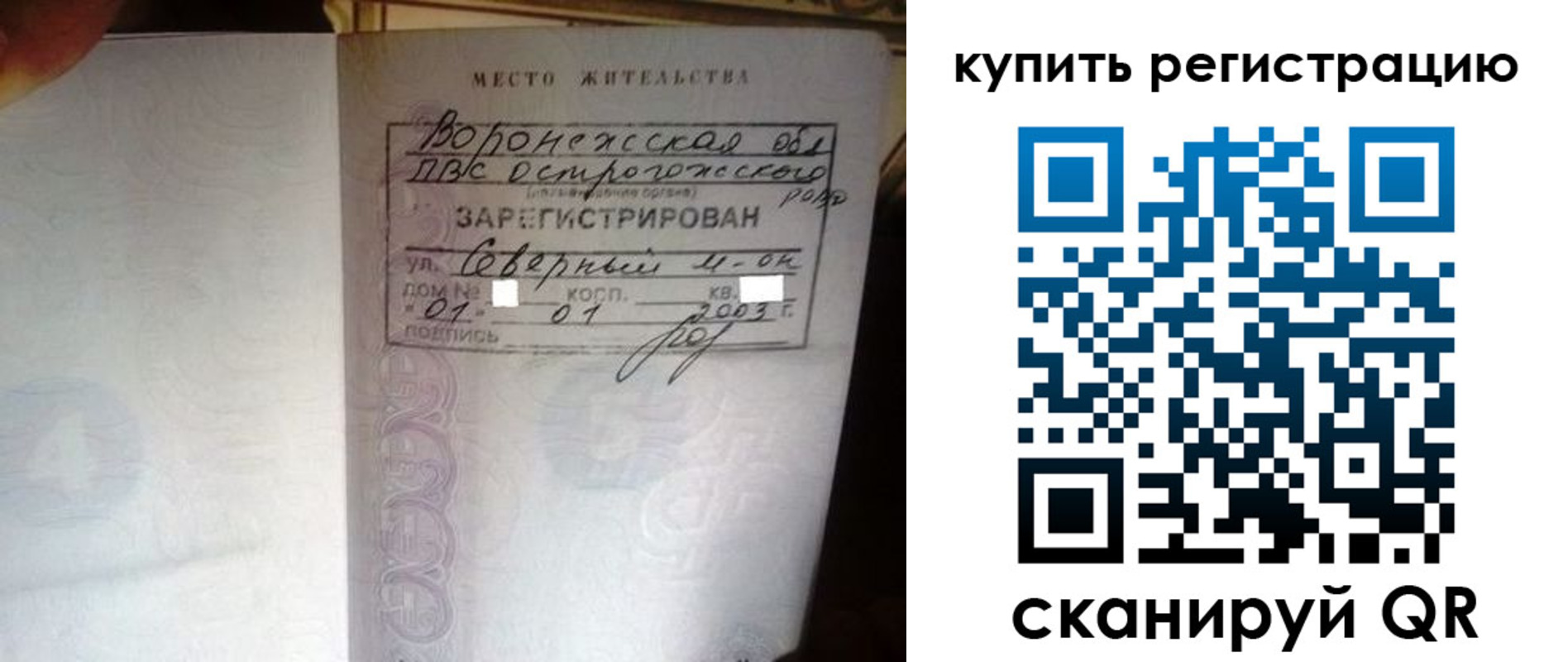 прописка поиск в Бабаево