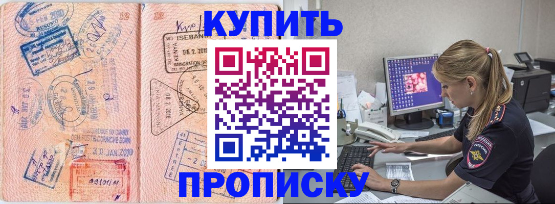 купить прописку в Бабаево